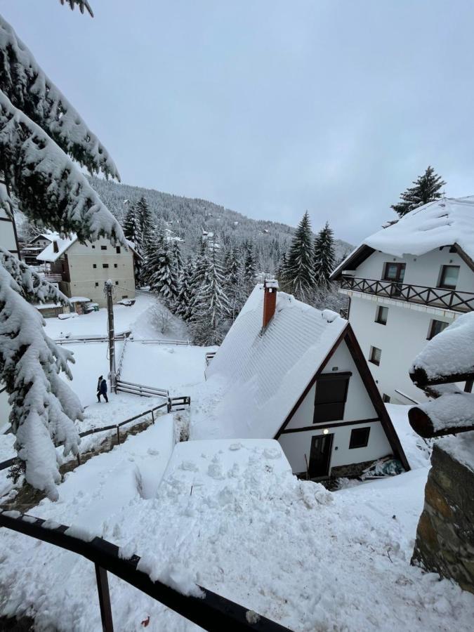 Kuca Na Kopaoniku - Rani Mraz Villa Buitenkant foto